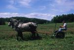 Farm-Shelburne Farms 30-25-01702