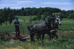 Farm-Shelburne Farms 30-25-01746