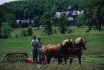 Farm-Shelburne Farms 30-25-01750