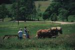 Farm-Shelburne Farms 30-25-01765