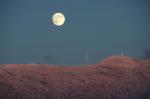 Moonrise 80-05-00113