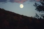 Moonrise 80-05-00124