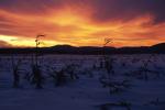 Sunset-Winter 80-00-01229