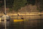 Lake Champlain 53-00-01110