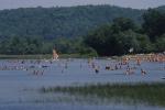 Lake Champlain 53-00-01721