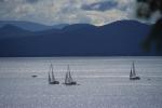 Lake Champlain 53-00-01980