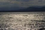 Lake Champlain 53-00-02018