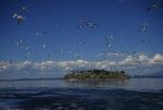 Lake Champlain 53-00-02606