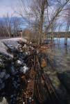 Lake Champlain 53-00-02641