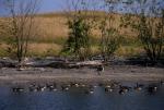 Lake Champlain 53-00-02777