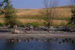 Lake Champlain 53-00-02779