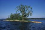 Lake Champlain 53-00-04405