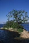 Lake Champlain 53-00-04412