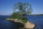 Lake Champlain 53-00-04417