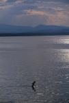 Lake Champlain 53-00-05165