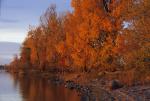 Lake Champlain 53-00-05333