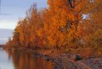 Lake Champlain 53-00-05359