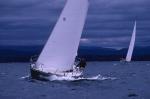 Sports-Sail 75-45-00565