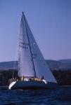 Sports-Sail 75-45-00587