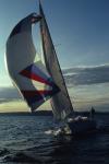 Sports-Sail 75-45-01116