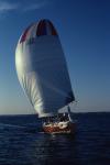 Sports-Sail 75-45-01159