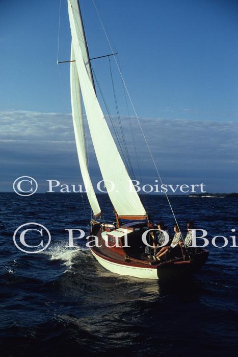 Sports-Sail 75-45-01441