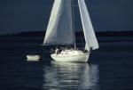 Sports-Sail 75-45-01484