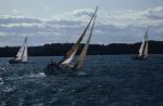 Sports-Sail 75-45-01704