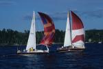 Sports-Sail 75-45-01712