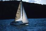 Sports-Sail 75-45-01754