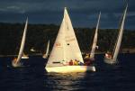 Sports-Sail 75-45-02011