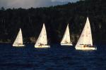 Sports-Sail 75-45-02024