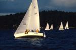 Sports-Sail 75-45-02031