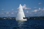 Sports-Sail 75-45-02165