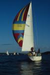 Sports-Sail 75-45-02326