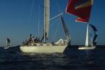 Sports-Sail 75-45-02329