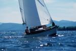 Sports-Sail 75-45-02431