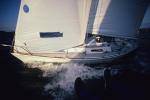 Sports-Sail 75-45-02697