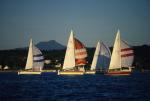 Sports-Sail 75-45-02711