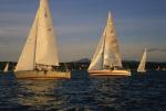 Sports-Sail 75-45-02750