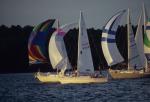 Sports-Sail 75-45-02873