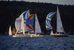 Sports-Sail 75-45-02874