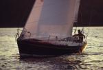 Sports-Sail 75-45-02889