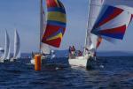 Sports-Sail 75-45-02939