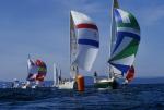 Sports-Sail 75-45-02943