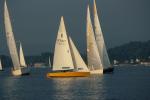 Sports-Sail 75-45-03034