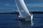 Sports-Sail 75-45-03085