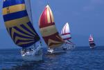 Sports-Sail 75-45-03485