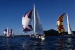 Sports-Sail 75-45-03583