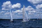 Sports-Sail 75-45-03591